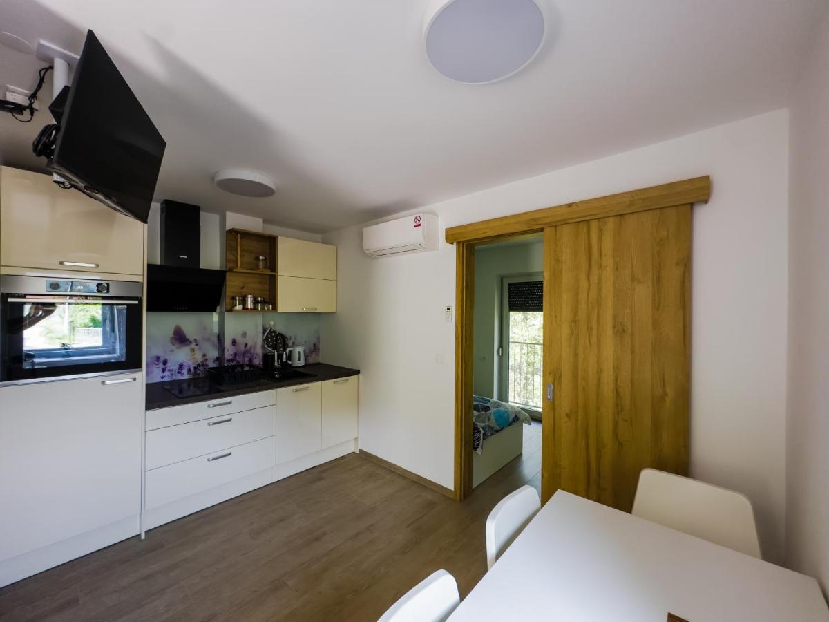 Apartmaji Silva Slap ob Idrijci Екстериор снимка